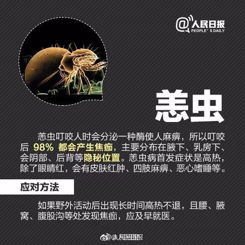 紧急提醒！近期尽量别穿这种颜色的衣服出门！