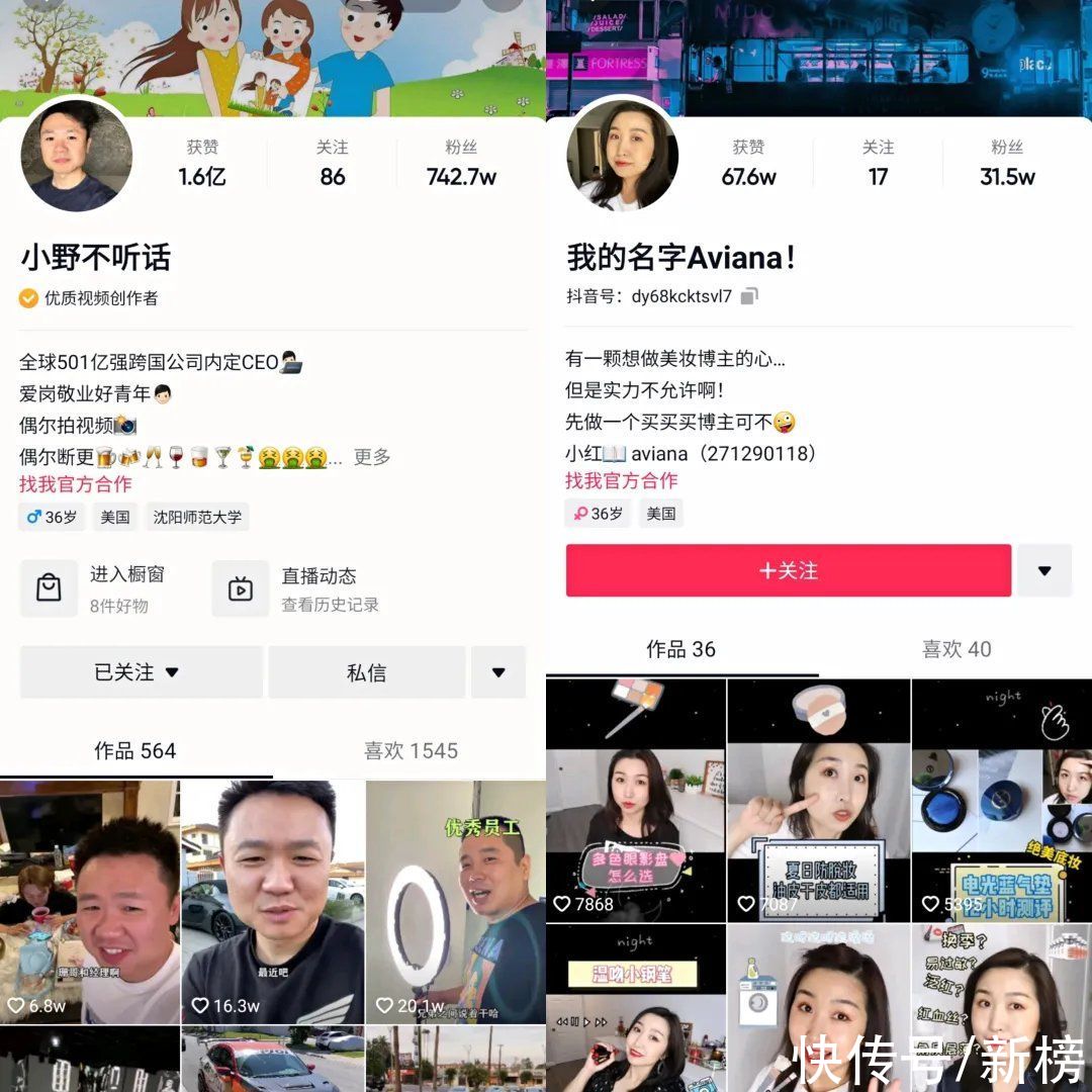 |讲段子?做品牌?带货超百万?海外华人博主是怎么变现的