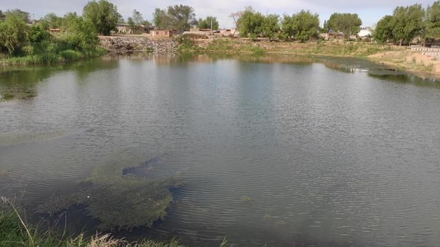 阴天|惊蛰过后、遇到这几种天气,请假也要去钓鱼,大鲫鱼排队咬钩