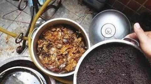 养殖花草小妙招用香蕉皮盆栽植物，分分钟搞定肥水、清洁问题