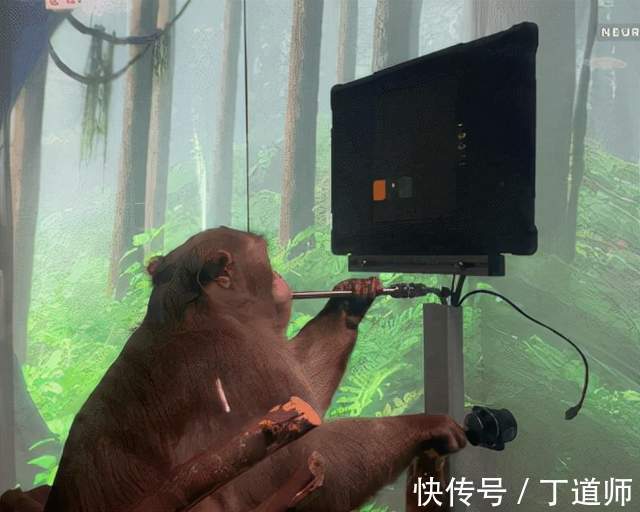 生命科学|别嘲笑科技大佬的“长生不老”梦想，忘了火药是怎么发明的吗？