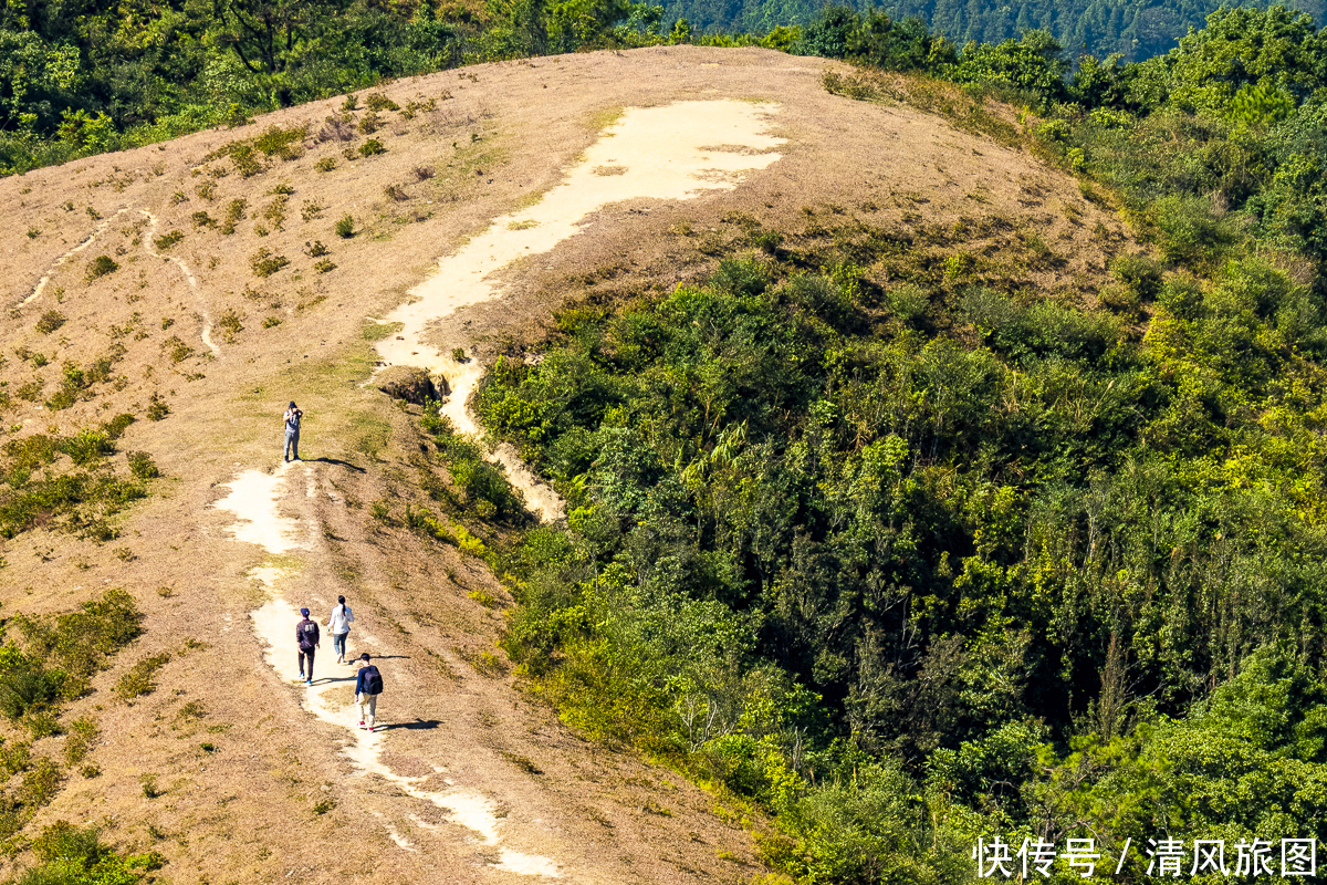 景色|景色迷人、没有门票的景区：阳春鸡笼顶，广东的万亩高山大草原