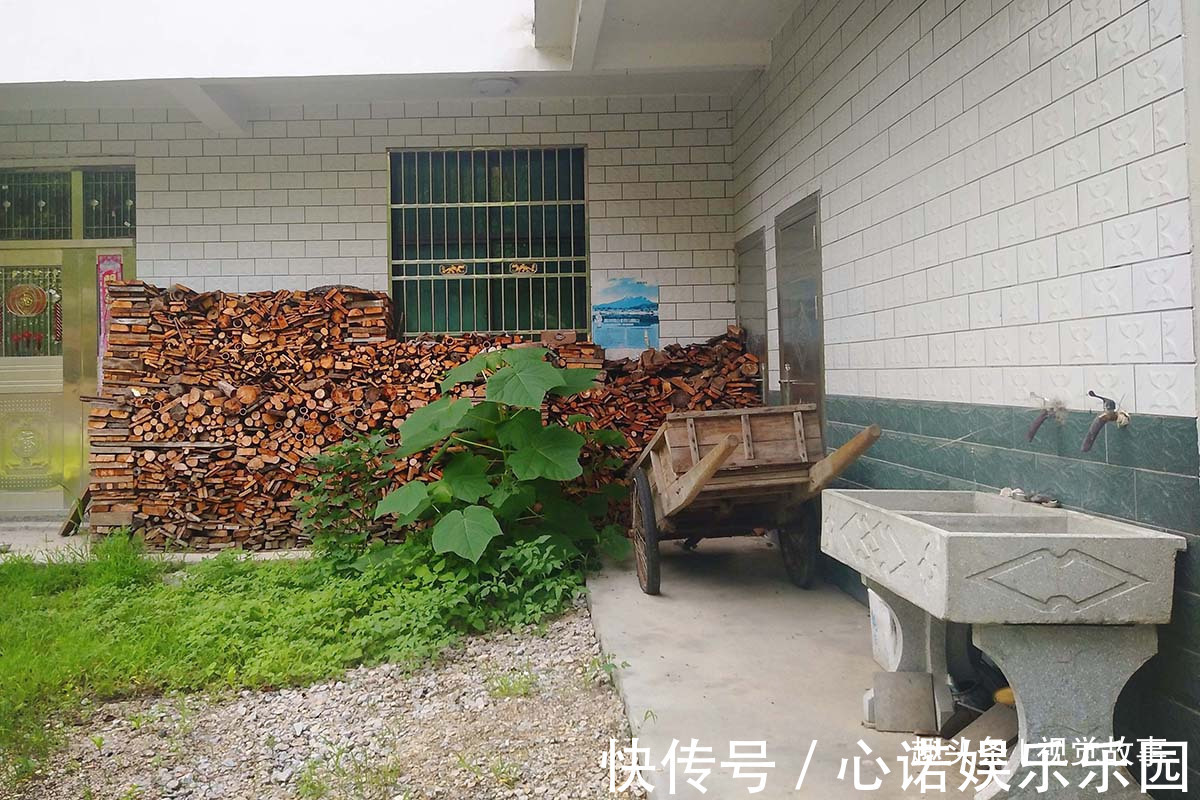 楼房|山村楼房装修豪华，门前堆满柴火，2个儿子3年没回家