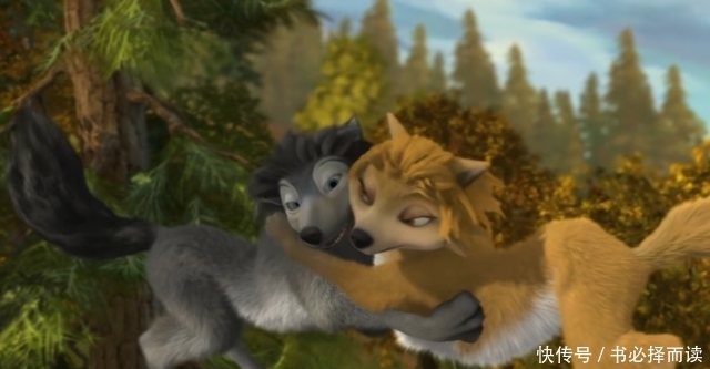 狼群|动漫影视论丨彼此了解才能拥有爱情,《丛林有情狼》体会生活美好