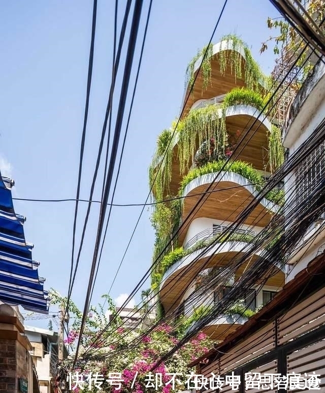 套房|未来城市的套房住宅，每一户都带有花园，推开门就是自家院子