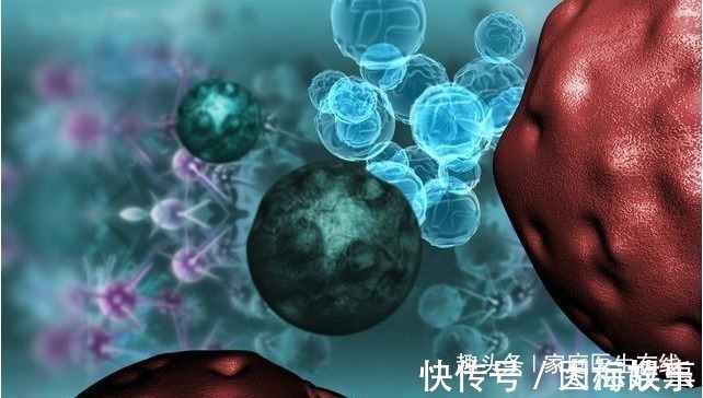 提高免疫力|预防癌症复发转移,4个小建议请收好,防止癌细胞“越界”!