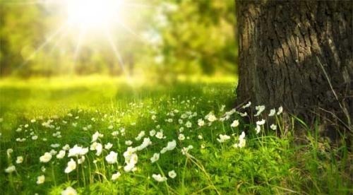 提到|《应物兄》中提到的《苏丽珂》竟是斯大林最喜欢的歌,有何深意