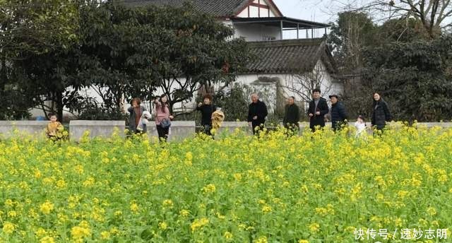 中年|满园春色关不住！绵竹的“花花世界”已美成这样