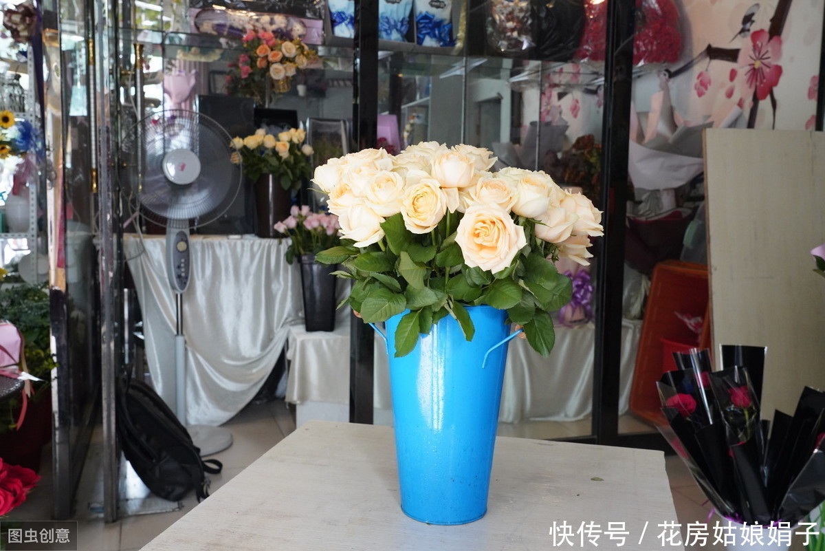 治疗|蚊虫驱除不掉怎么办?5种花草能驱除蚊虫,汁液能治疗蚊虫叮咬