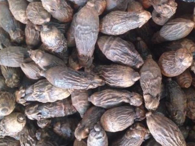 父母|父母尽量让孩子少吃这4种水果，尤其是最后一种，大人也得少吃