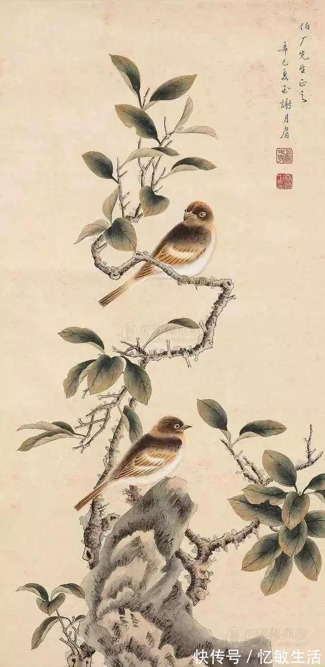 花鸟!她凭天赋自学书画,画画不到20年,却堪称“花鸟圣手”,成为一代传奇