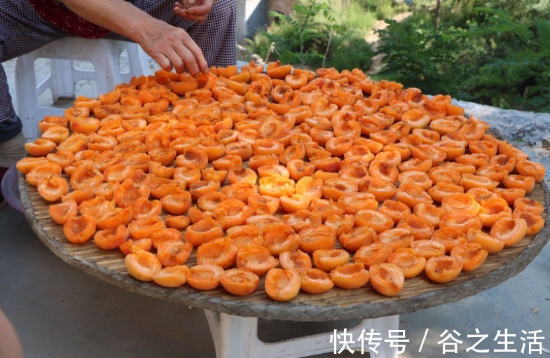 杏子|天热这碱性水果要多吃，一次性买5斤，晒干囤着，随时吃随时取！