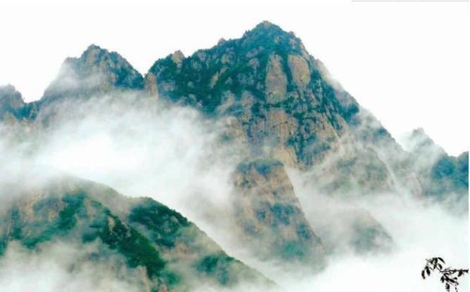 禅诗@宋代不知名尼姑偶见一枝梅花,写下28个字,无一生僻令人醍醐灌顶