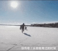 |搞笑GIF：连公司主管都这么搞笑了，这职场混得多有趣啊