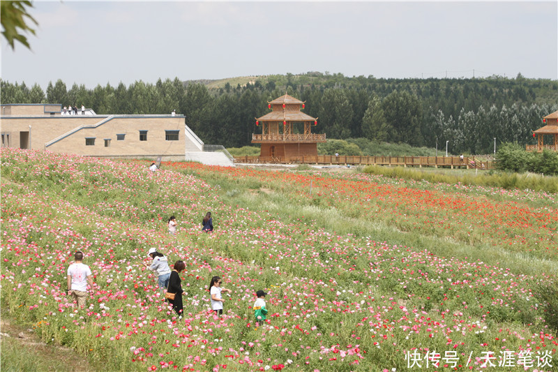 走进草原，烟波浩渺多伦湖，遇糟心事改行程