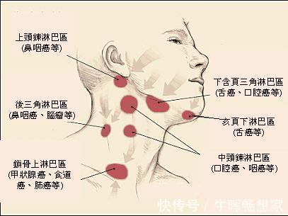 排毒|女人养颜养生经有效排出毒素20招!坚持做,年轻10岁不是梦!