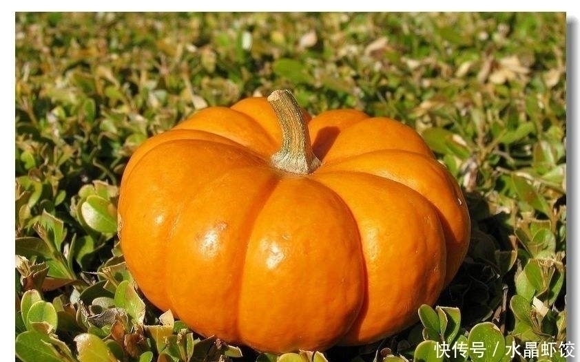 常吃|女性不想赘肉横生，常吃此菜，燃烧脂肪，减掉大肚子，皮肤更细腻