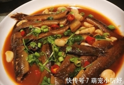 被人“嫌弃”最多的鱼，白送都没人要，比猪肉营养，好吃还不上火！