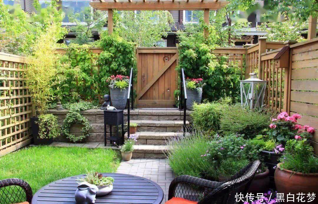 养护|有院子一定要养的“3种花”，花多花大又好看好养，美成一幅画