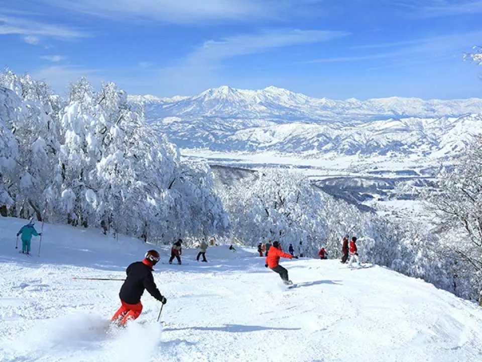 滑雪胜地|日媒：国际游客仍然不见踪影，日本的滑雪胜地努力活着