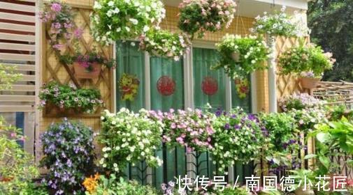 养花|去邻居家串门，一眼就被阳台的布置给迷住了，看起来高级又实用！