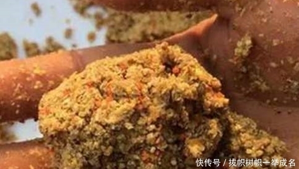 适合天冷使用的窝料和饵料，秋末野钓大板鲫，效果出奇的好！