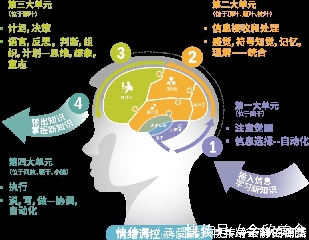 孩子|教育部规定6岁上学背后的深意，90％的家长都不知道
