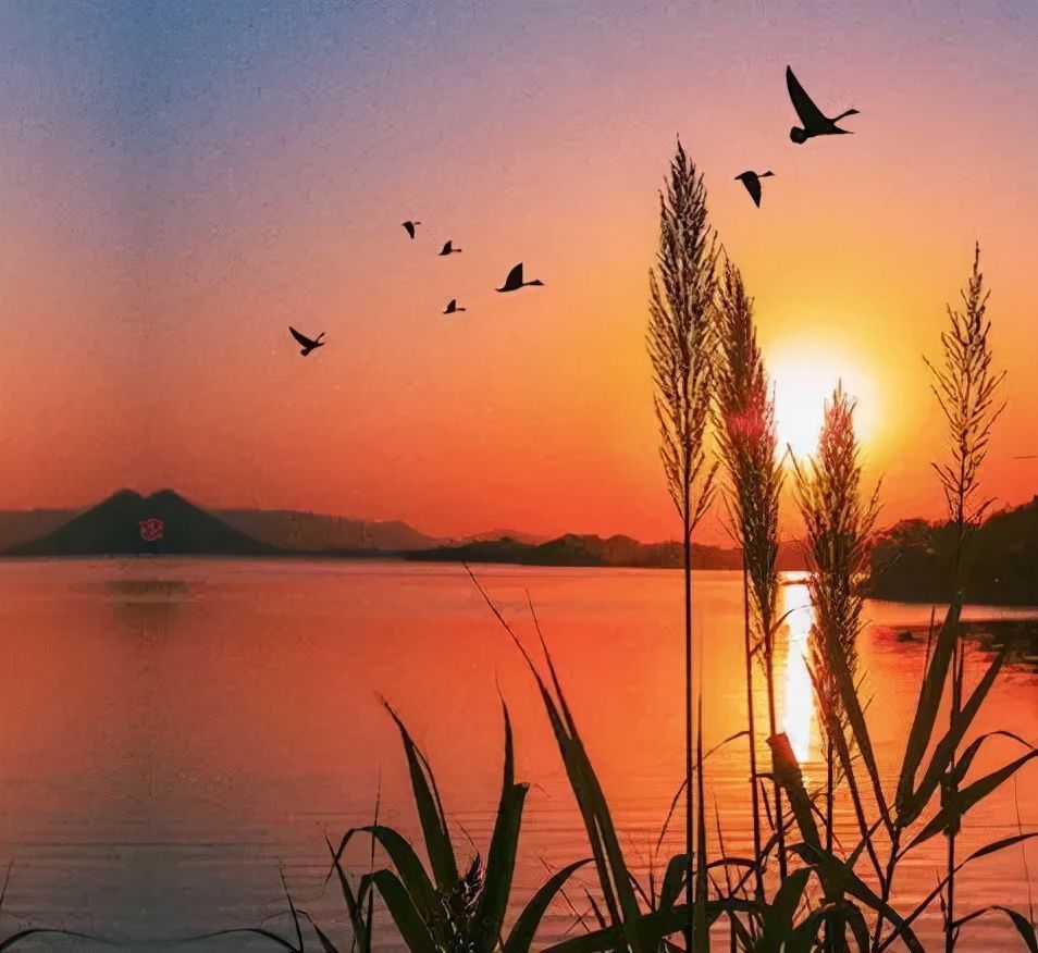 杜甫&诗词丨史上最全“秋”字飞花令,句句经典,值得永久收藏