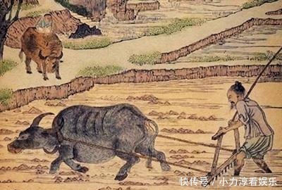 鱼鳞图册|国博有本《鱼鳞图册》为何能成为宝贝,因它记录着重要的历史事件