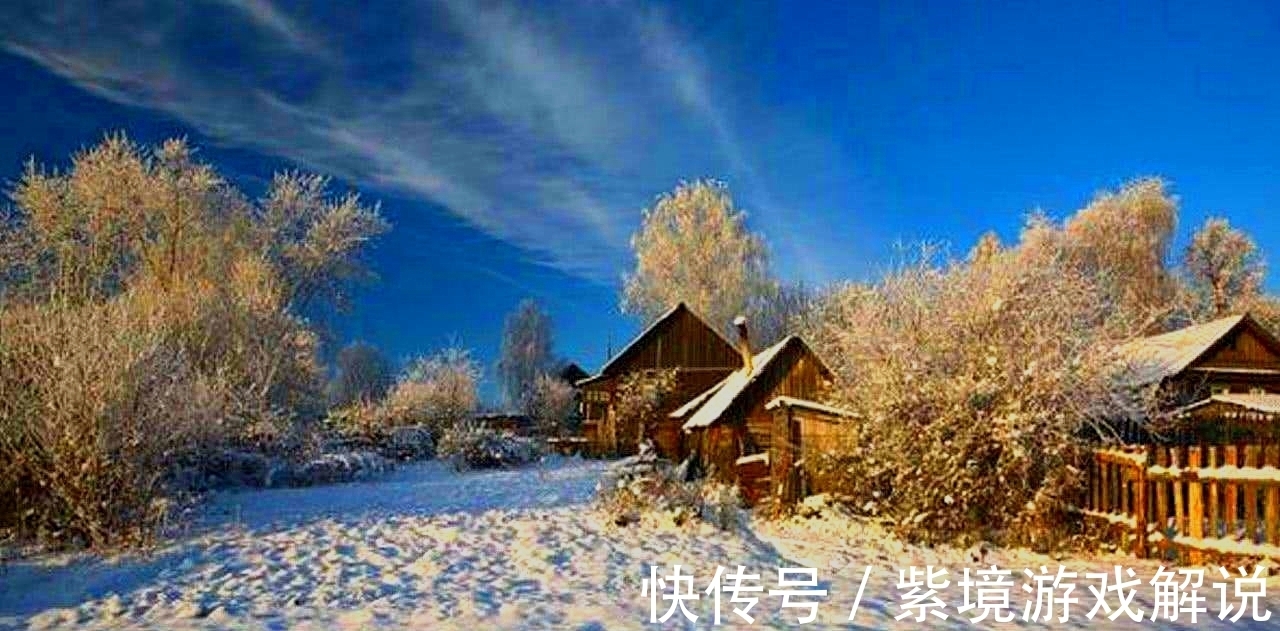 梅映雪$梅花欢喜漫天雪，飞舞冬至遐思长