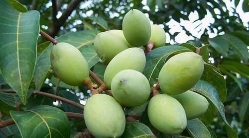  高血压的“救星”出现，常吃3种蔬菜，或助稳定血压不升高