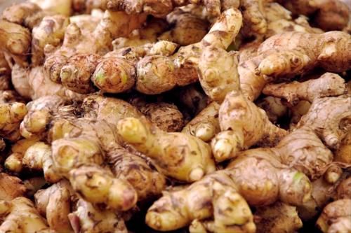 保存生姜很简单，姜农分享2个窍门，放一年不长芽，新鲜又饱满