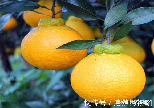 早衰|女性担心自己老太快,要坚持吃4种食物,清理毒素、预防子宫早衰