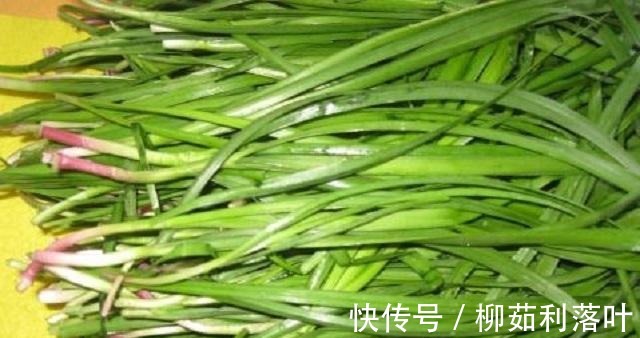 韭菜|它常被误认为韭菜,农民视它为杂草,却不知十分珍贵!