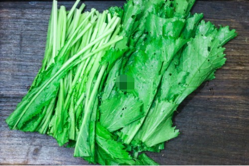 这食材2块钱一斤真便宜,可懂很多人不懂!