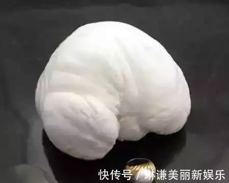 漫游者#一颗珍珠卖上亿,世界上最负盛名的5件珍珠,长什么样?什么价?