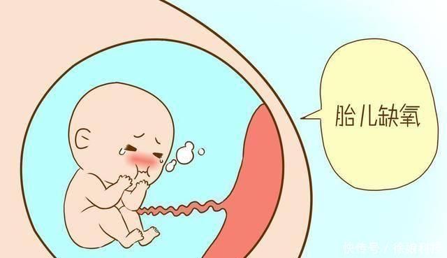 甲鱼|胎儿最害怕“十件事”,会影响胎儿发育,孕妇要尽量避免