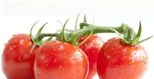 吃西紅柿有7大好處,那西紅柿是蔬菜還是水果,空腹可以吃嗎?