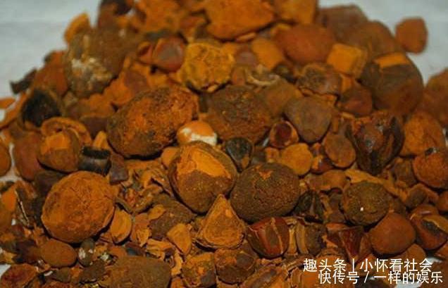 牛黄|世上最出名的五大中药,第一名你绝对没想到