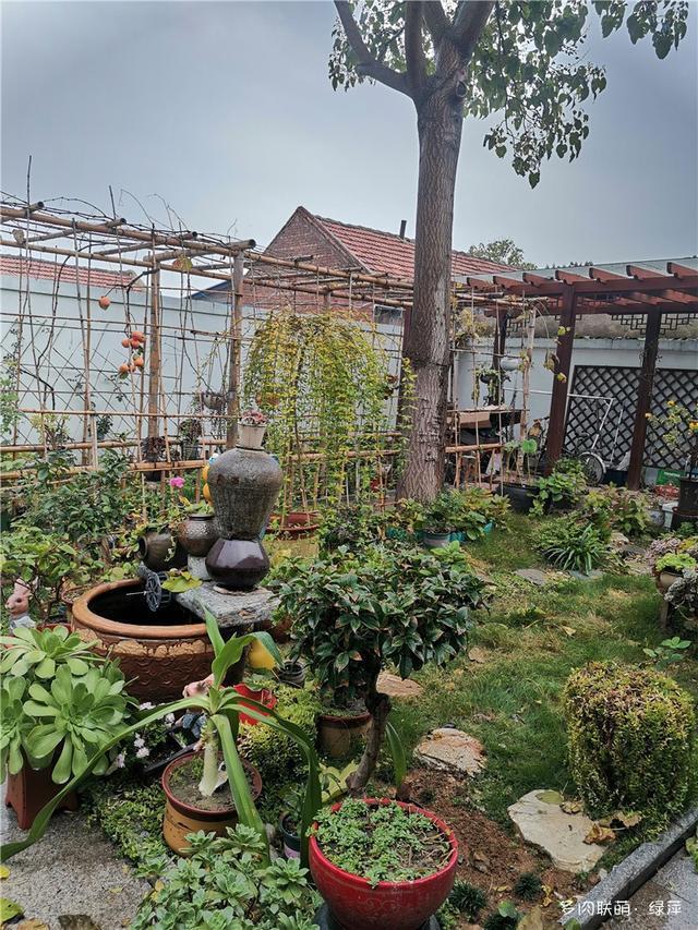 拈花一笑为红颜,无奈雨霾非吾恋