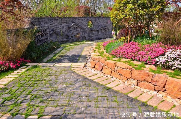 绣球花|乡村庭院设计,如果农村有房,干嘛住城里,建个这样的院子美翻了