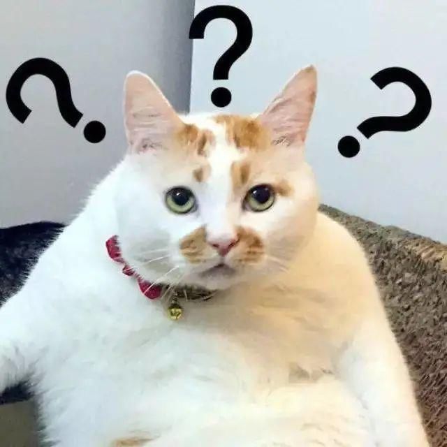 医生|为什么割双眼皮的时候医生总让我开个眼角?