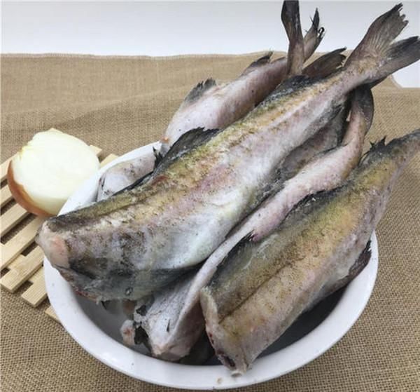 渔民|为什么渔民捕捞到鳕鱼,要马上去掉鱼头掺杂了这种鱼可要当心