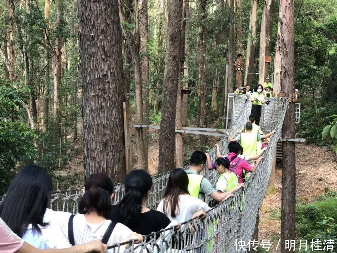 亲子大作战飞越丛林、默契考验……桥南街萌娃和父母户外拓展,尽享天伦之乐
