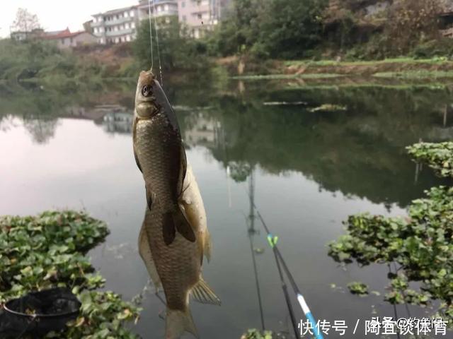 大鱼|垂钓最爽的5个时刻,正常人难以理解,钓鱼人直呼过瘾