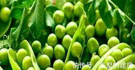 白刺果|医生爱吃的3种食物,滋养肌肤,消除炎症,爱美女性的福音