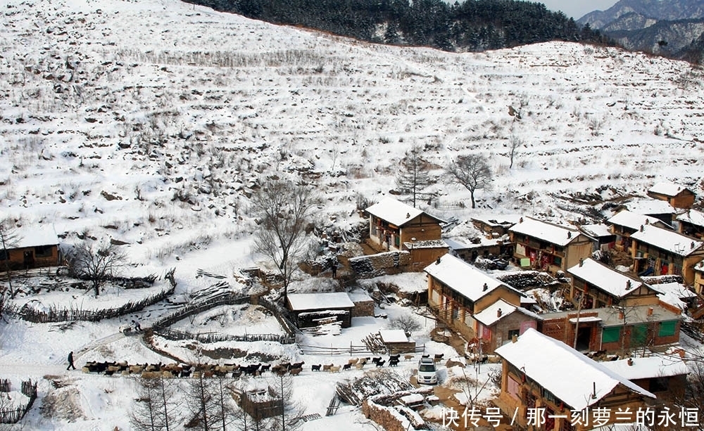 太岳山深处的小村庄七里峪 原始神秘村里有猎人 悬崖柏树有奇景