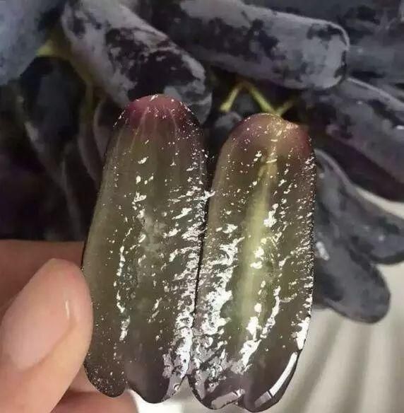 庭院|我国“最甜”水果,比桔子甜10倍,庭院种3棵,来年拖拉机拉不完