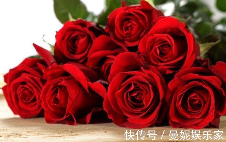 精品|喜欢玫瑰,就养盆“玫瑰精品”卡罗拉,雍容华贵,寓意炽热的爱情