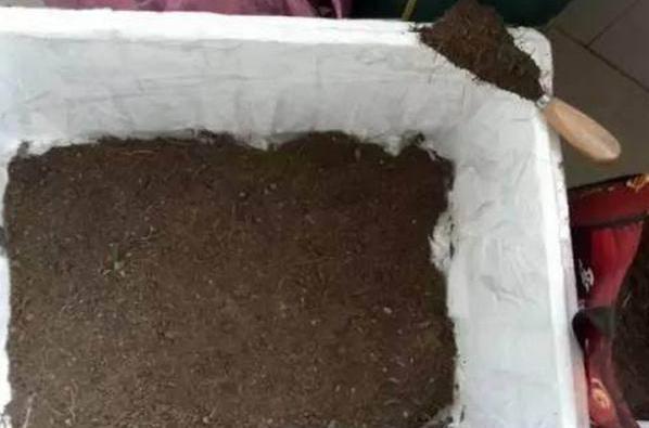 养花神器泡沫箱这般制成自动浇水箱、堆肥箱，省劲、实用！